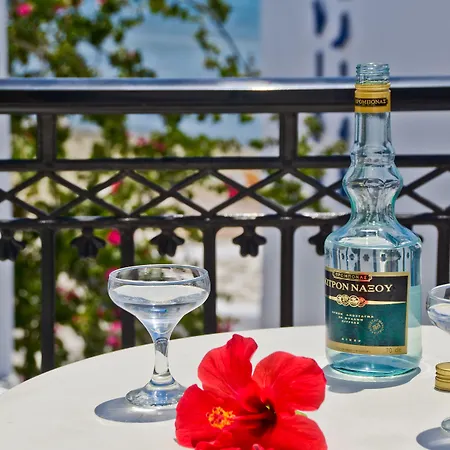 Soula Naxos Hotell *